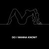 Testo Do I Wanna Know?