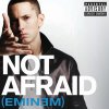 Testo Not Afraid