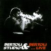 Testo Bertoli studio & Bertoli... live