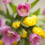 Spring - teksty piosenek
